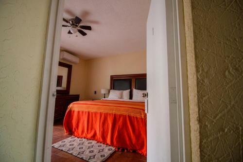 Apartamento Casa Sicar�