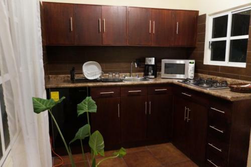 Apartamento Casa Sicar�