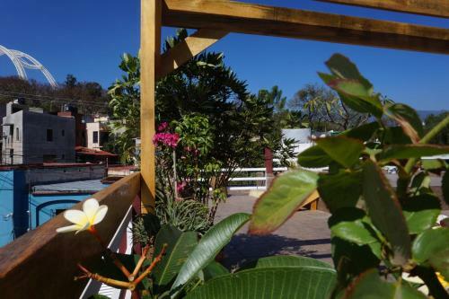 Apartamento Casa Sicar�