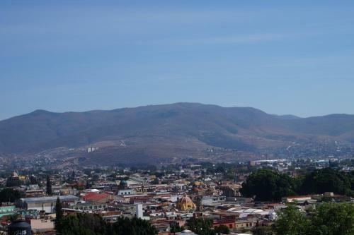 Apartamento Casa Sicar�