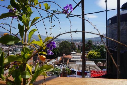 Apartamento Casa Sicar�