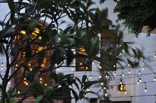 Clandestino Hotel - Adults Only
