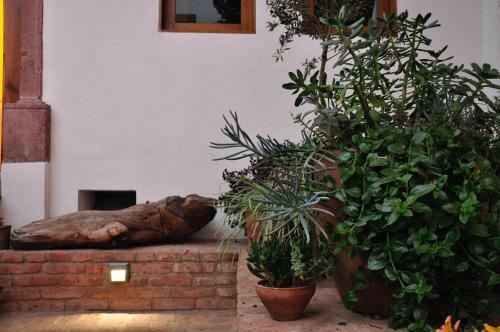 Clandestino Hotel - Adults Only