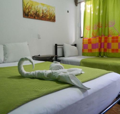 Albergue Emotion Tulum Hotel & Hostal