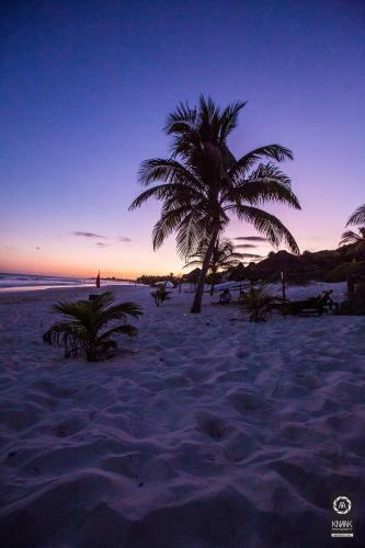 Hotel Poc Na Tulum