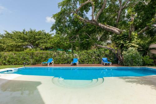 Bed & Breakfast Apartment Caribe Centro
