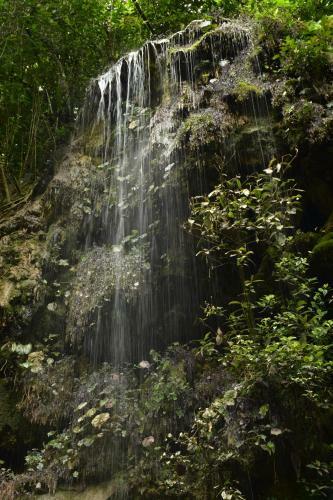 Ecolodge Naha - Selva Lacandona