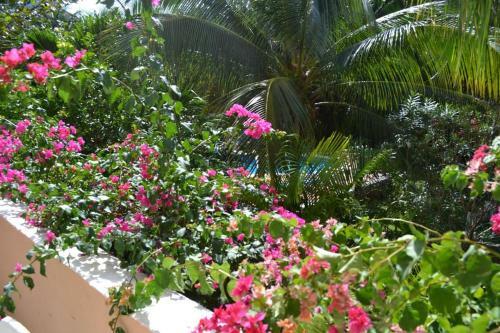 Apartamento Coco Beach