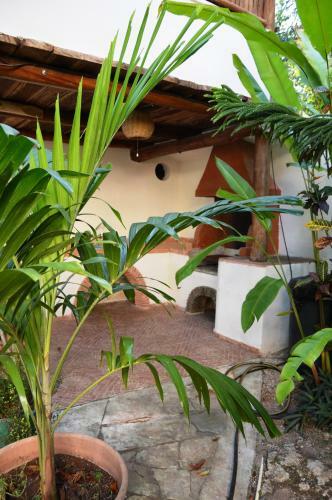 Apartamento Condo-hotel Romaya