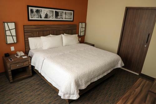 Hotel Hampton Inn By Hilton Irapuato