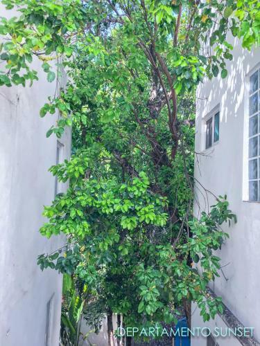 Apartamento Las Palmeras
