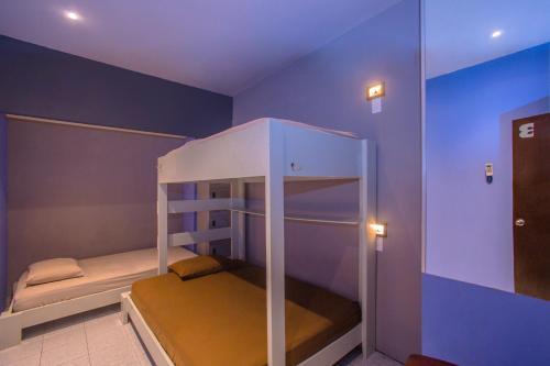 2tank Dive Hostel Cozumel