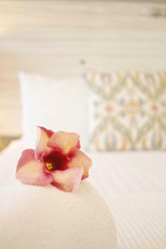 Hotel Siesta Holbox
