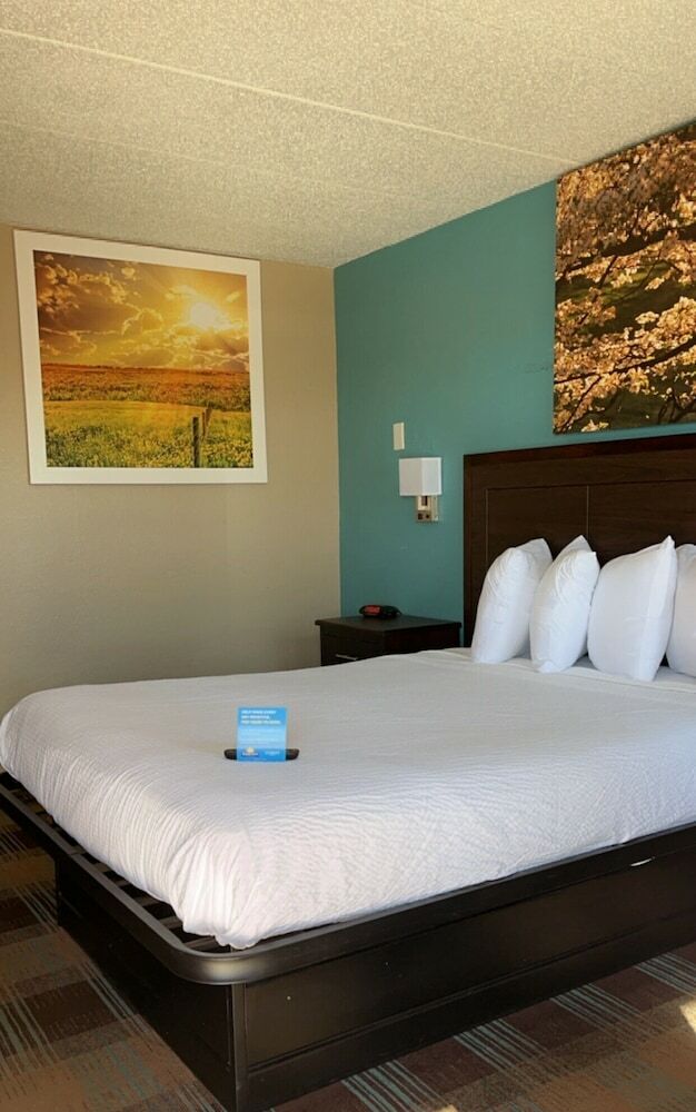 Hotel Days Inn And Suites Springfield