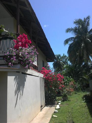 Albergue Hostal Do�a Irma Bocas