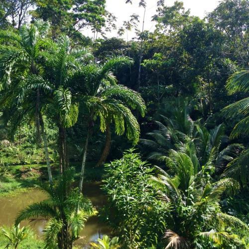 Bed & Breakfast Los Secretos Guesthouse