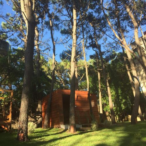 Apartamento Cavas