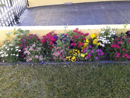 Apartamento En Lo Alto