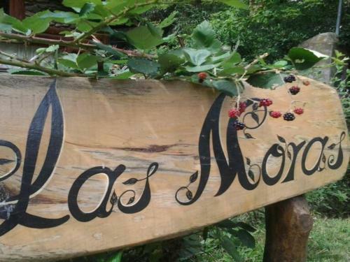 Bed & Breakfast Caba�as Las Moras