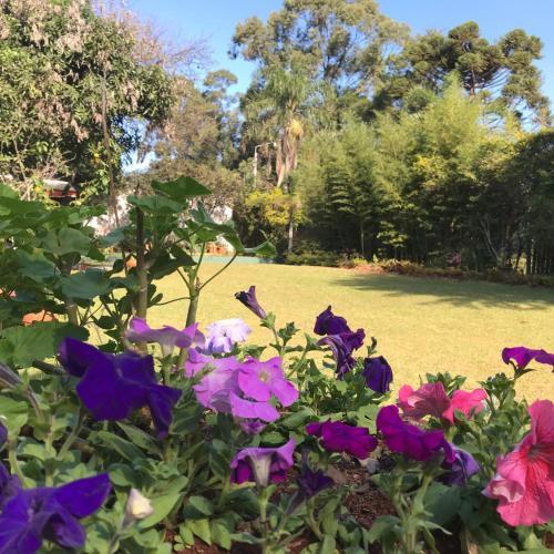 Lodge Caba�as Katy-arte