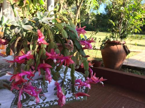 Lodge Caba�as Katy-arte