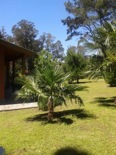 Lodge Montebello Caba�as