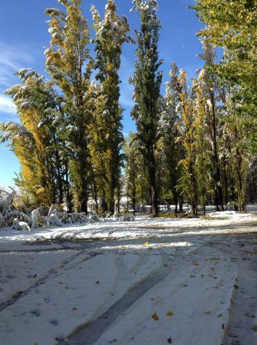 Bosque De Sol