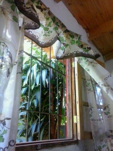 Apartamento Posada Mar�a Iguaz�