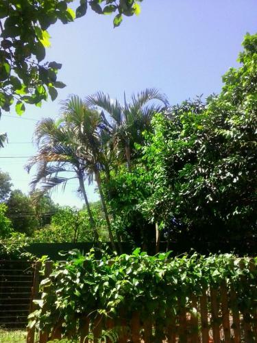 Apartamento Posada Mar�a Iguaz�