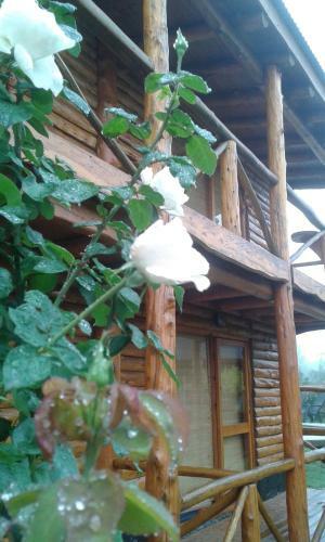 Lodge Ensue�o Caba�as