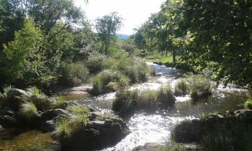 Lodge Ensue�o Caba�as