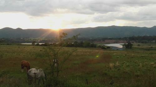 Lodge Ensue�o Caba�as