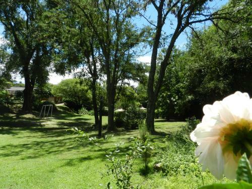 Lodge Caba�as Mirasoles