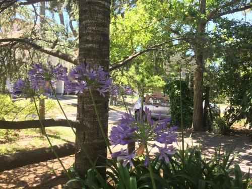 Posada Alpina Hoster�a