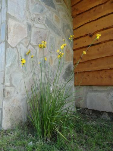 Lodge Caba�as Del Espinillo