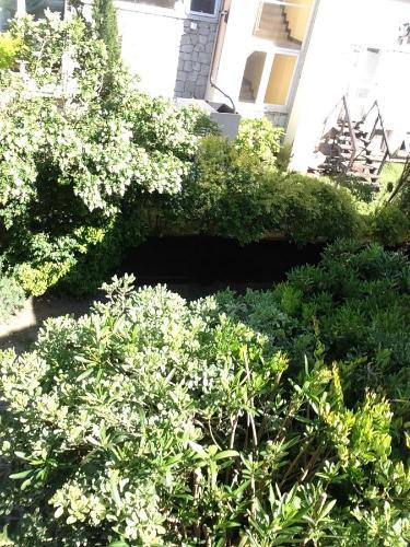 Duplex Caril�