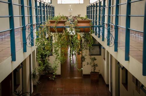 Bed & Breakfast El Aljibe