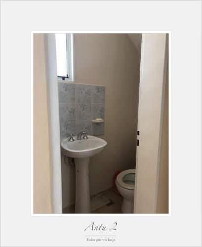 Apartamento Departamento Antun
