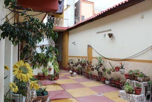 Hostal Jordan