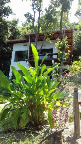 Casa Shuhari