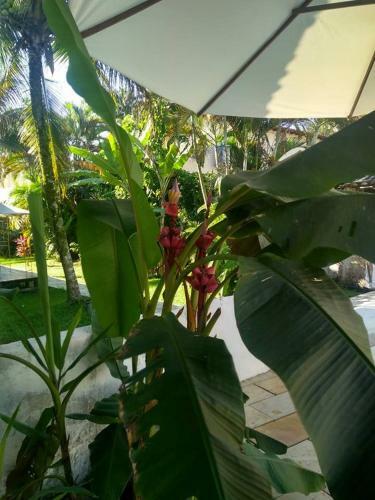 Hostal Pousada Do Tesouro