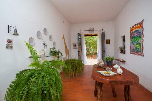 Bed & Breakfast Beija- Flor Len��is
