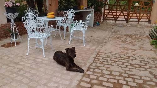Bed & Breakfast Beija- Flor Len��is