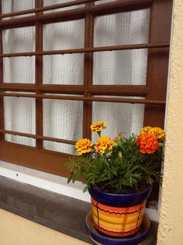 Casa Canela Vila Sui�a