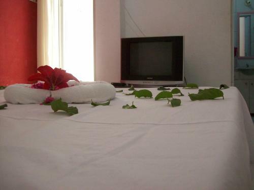 Hostal Pousada Costa Dos Corais