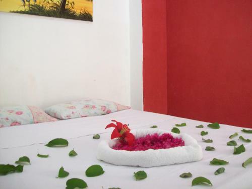 Hostal Pousada Costa Dos Corais