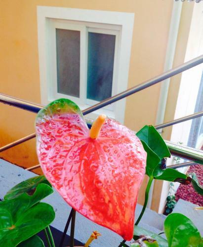 Jardim Secreto
