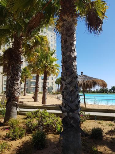 Apartamento Departamento Laguna Vista