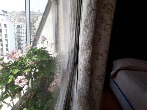 Apartamento Departamento Ecuador