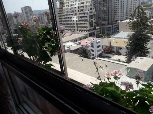 Apartamento Departamento Ecuador